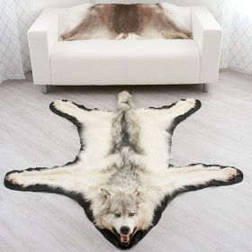 team kader Verpletteren Shop for 6 Feet 7 Inches (201 cm) Arctic Wolf Skin Rug #EP4159060A at Bear  Skin Rugs