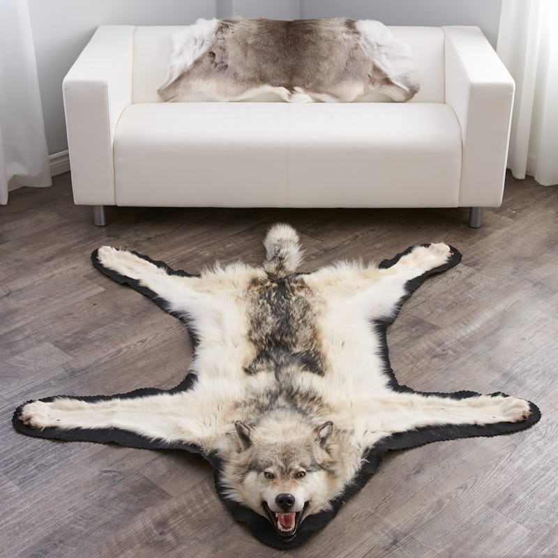 6-feet-3-inches-188-arctic-wolf-skin-rug-ep4155125b-p-1038.jpg