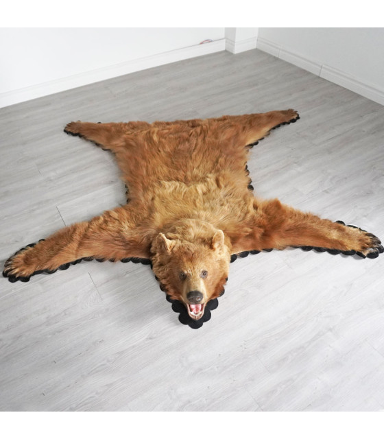 Black Bear Skin Rugs Bear Skin Rug Sale At Bear Skin World 5656