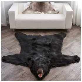 Shop for 6 Feet 3 Inches (188 cm) Arctic Wolf Skin Rug #EP4155125B at Bear  Skin Rugs